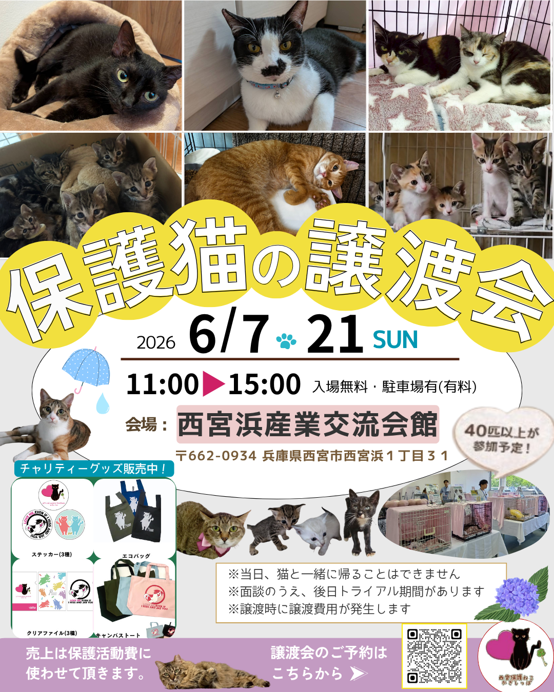 譲渡会のお知らせ】6/7(日)・6/21(日) 西宮浜産業交流会館 - 西宮保護